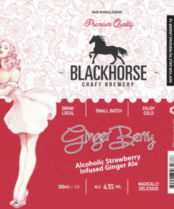 Ginger Berry 300ml x 24
